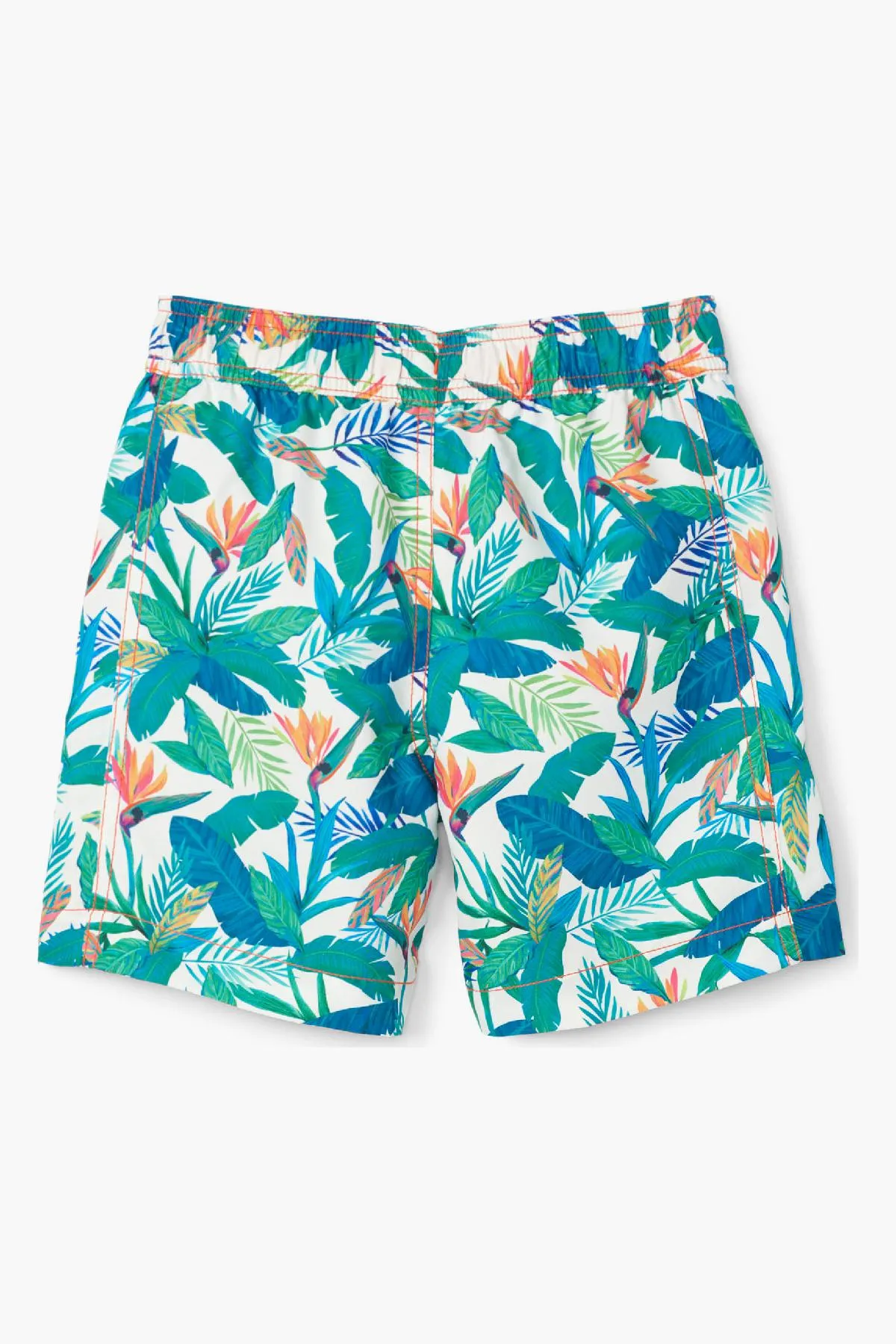 Boys Swim Hatley Tropical Paradise Trunks